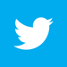 tw icon